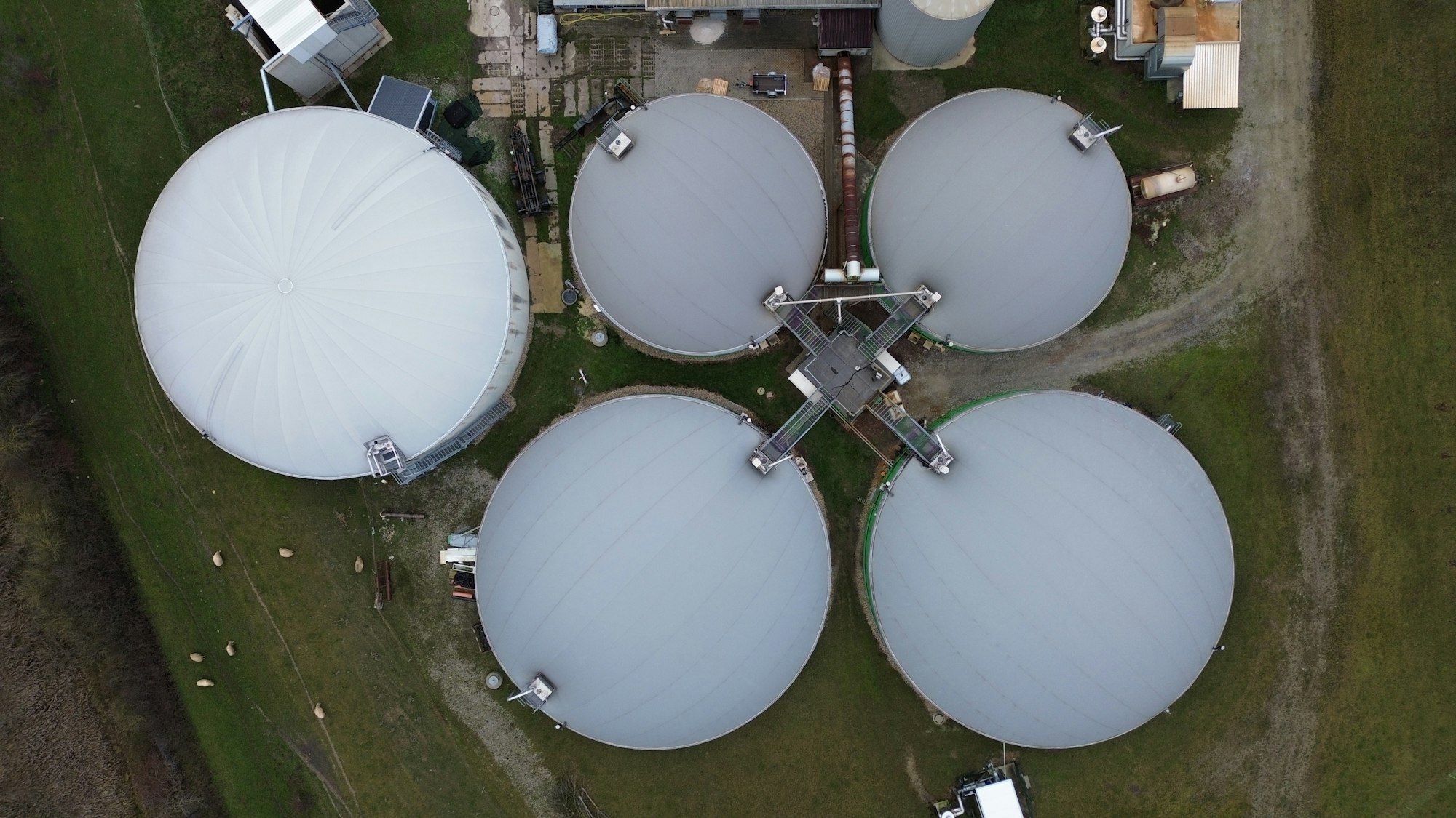 Luchtfoto van vijf witte gistingstanks van een biogasinstallatie