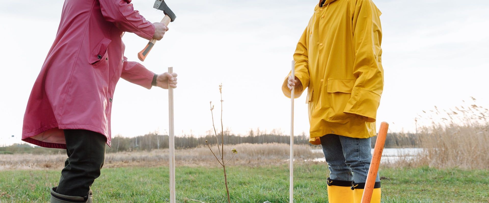 Twee vrijwilligers planten een boompje